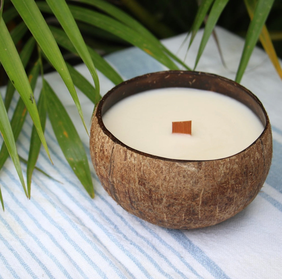 Coconut Shell Candles - Cinnamon Scent
