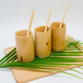 Bamboo Straws (5 per pack)