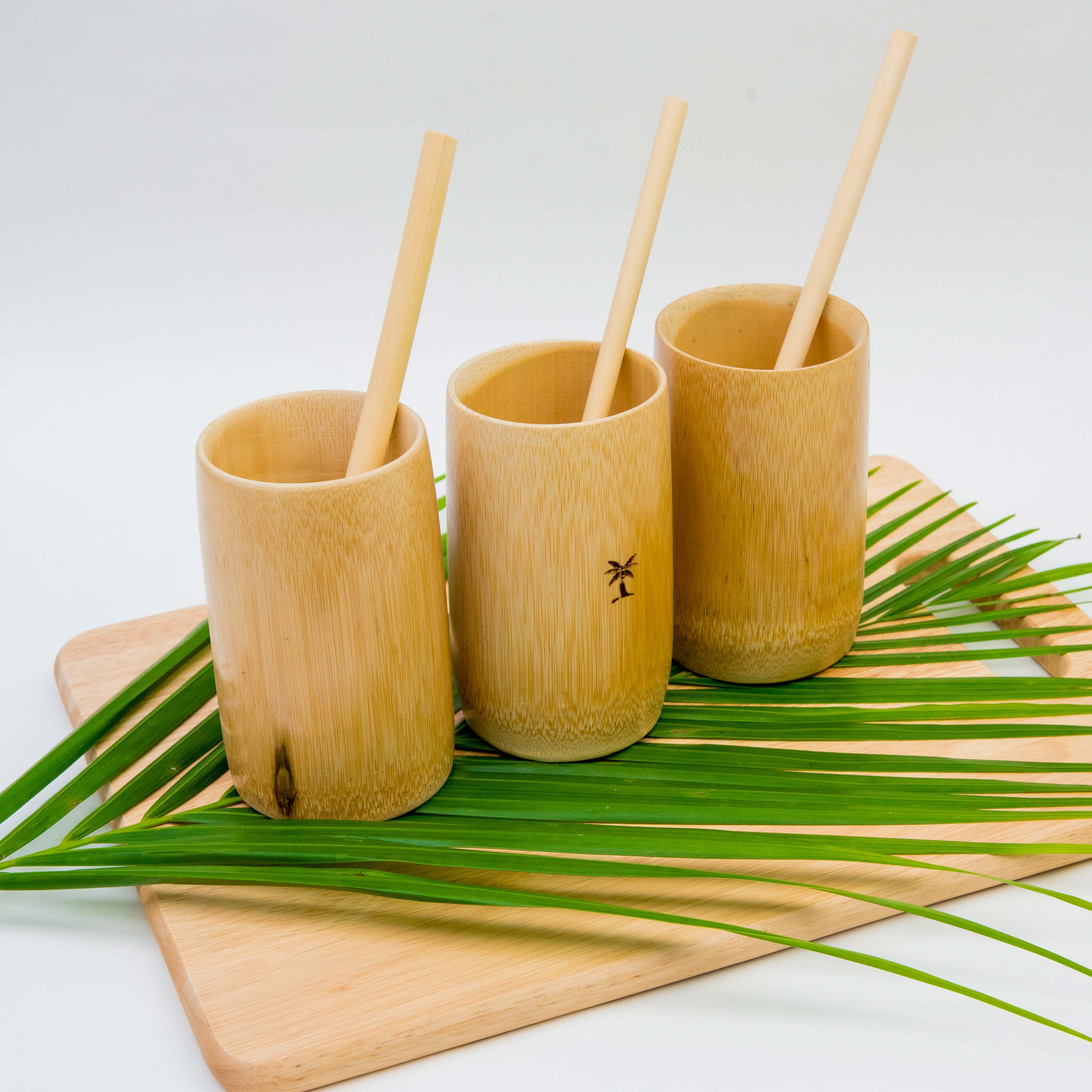 Bamboo Straws (5 per pack)