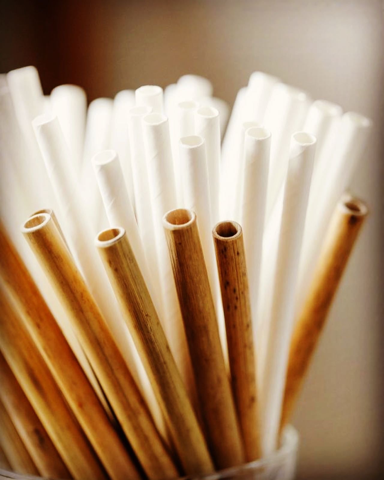 Bamboo Straws (5 per pack)